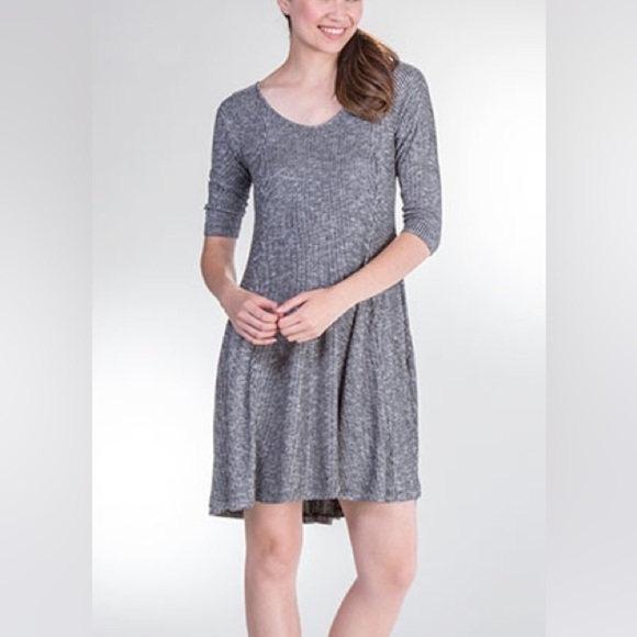 Anthropologie Ophelia Roe Metallic Knee Length Shift Swing Dress Silver Small - Picture 1 of 14